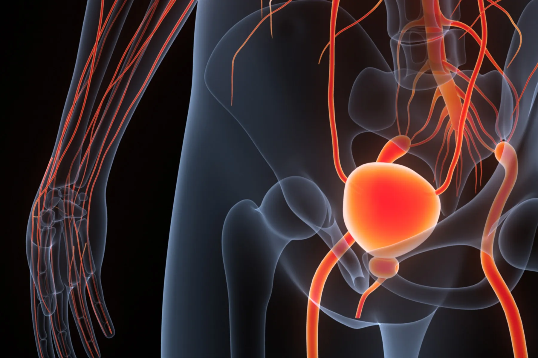 La vigilancia activa del cáncer de próstata es un acto de fe