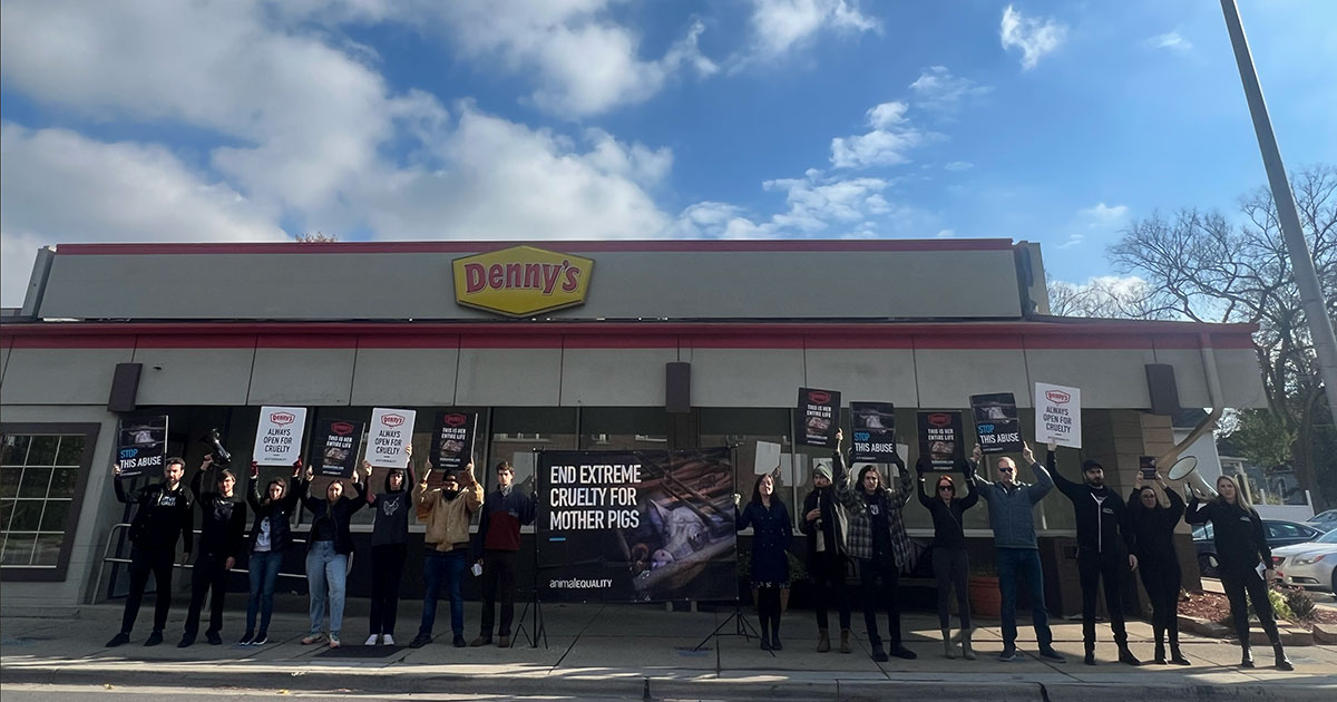 Protestando contra la crueldad de Denny’s: el fin de semana de acciones en Chicago