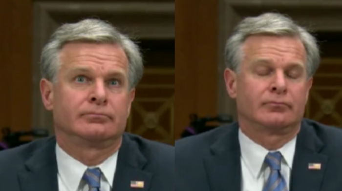 Ver: El director del FBI, Christopher Wray, hace una pausa incómodo cuando se le pregunta si Estados Unidos es más seguro con Biden: ‘Las amenazas han aumentado’