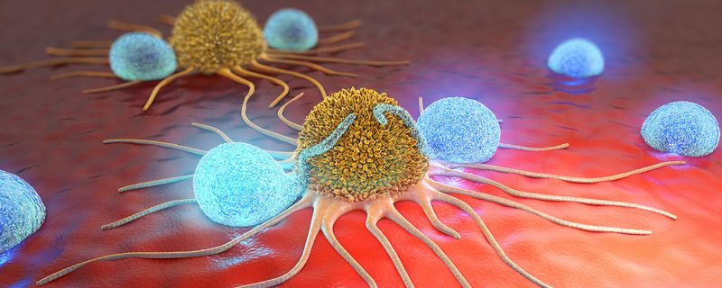 Una familia de microARN impulsa la respuesta de las células T en el cáncer