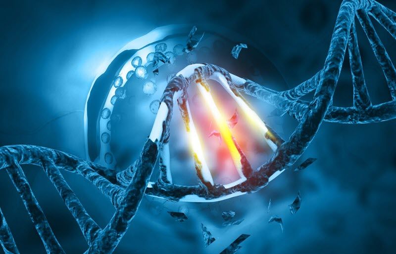 Envejecimiento y cáncer |  La revista científica®