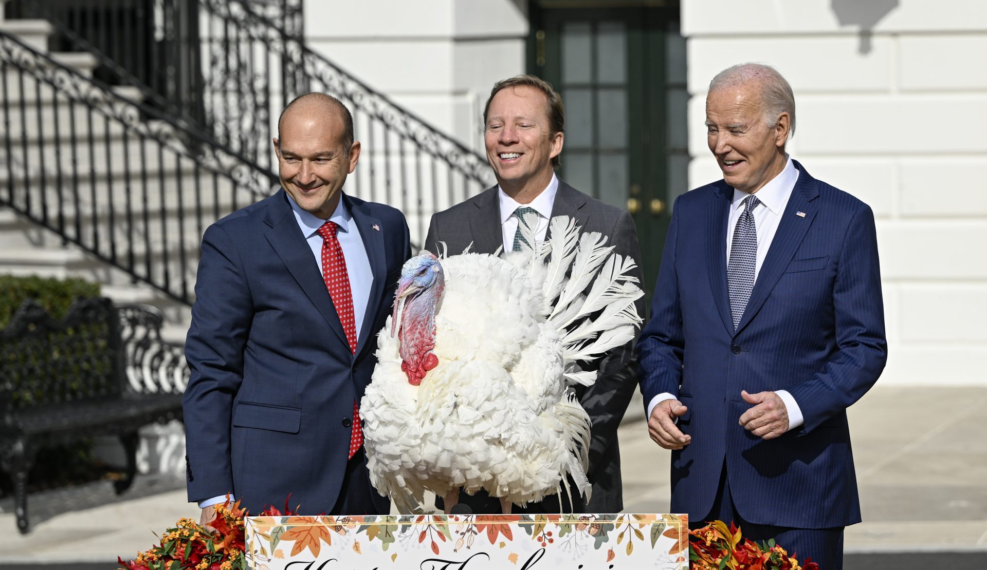 Biden Pardons National Thanksgiving Turkeys On His 81st B Day Scaled E1700518460429.jpg