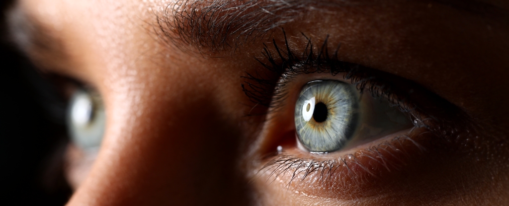 Algo en tu cerebro puede saber cuando una cara no es real: ScienceAlert