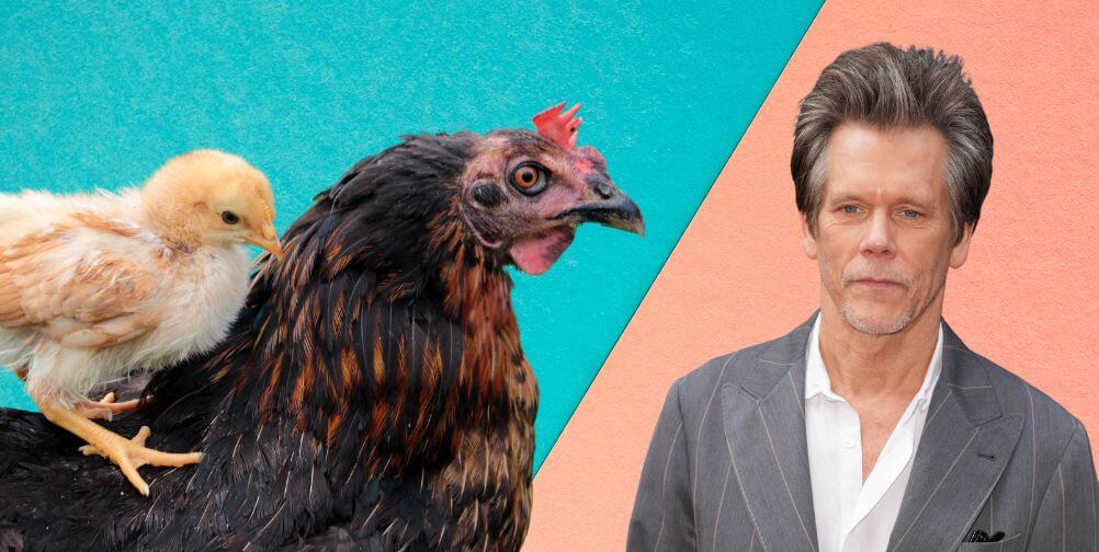 Kevin Bacon Next To Chick On A Chicken.jpg