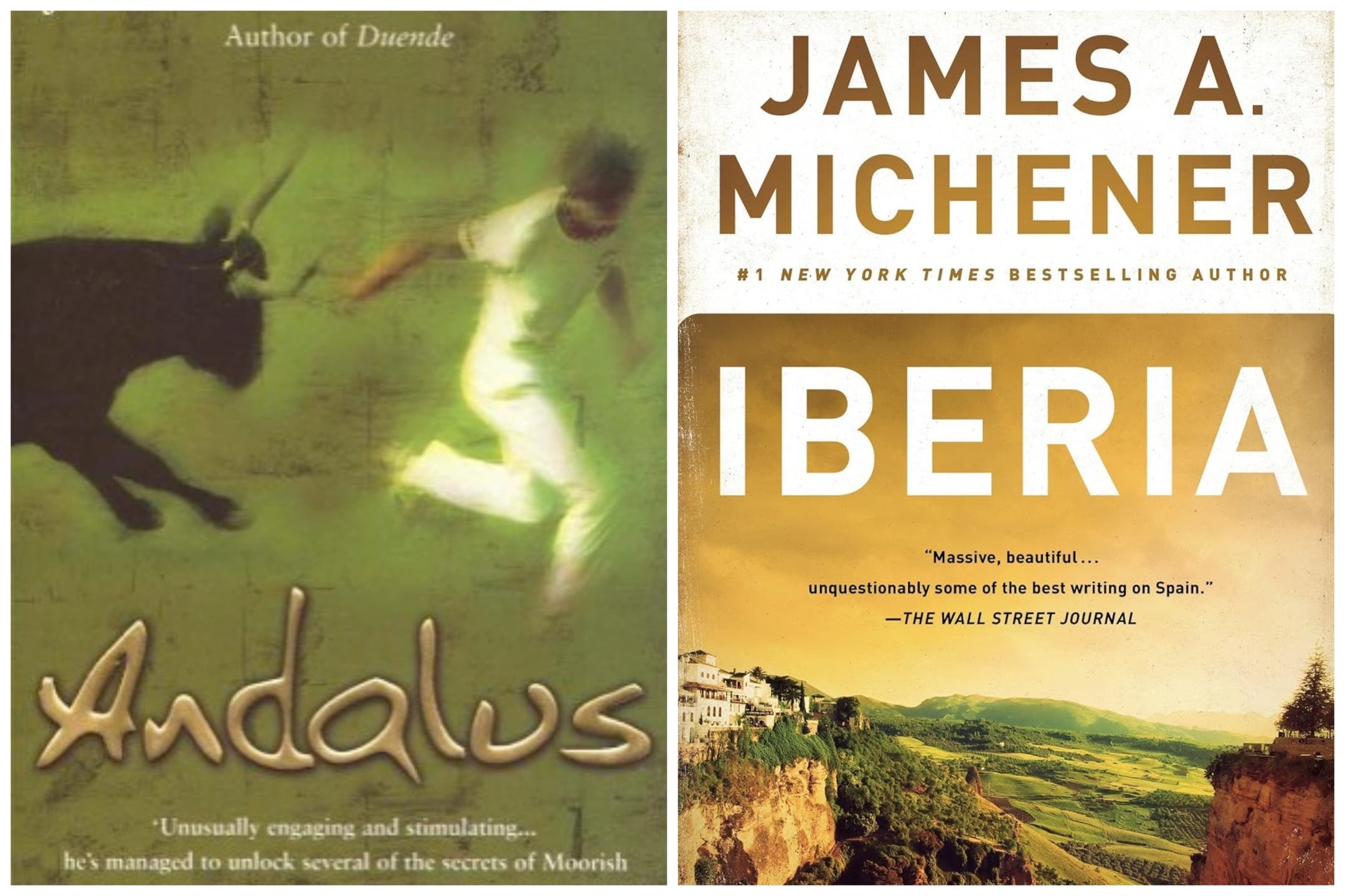Debes leer: Los 10 libros que arrojan luz sobre las diferentes regiones de España, incluidas Andalucía, Mallorca, Cataluña y más.