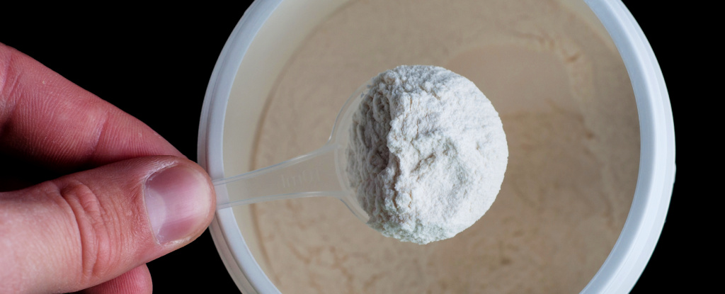 Reducir el consumo de un aminoácido aumenta la esperanza de vida en ratones de mediana edad hasta en un 33%: ScienceAlert