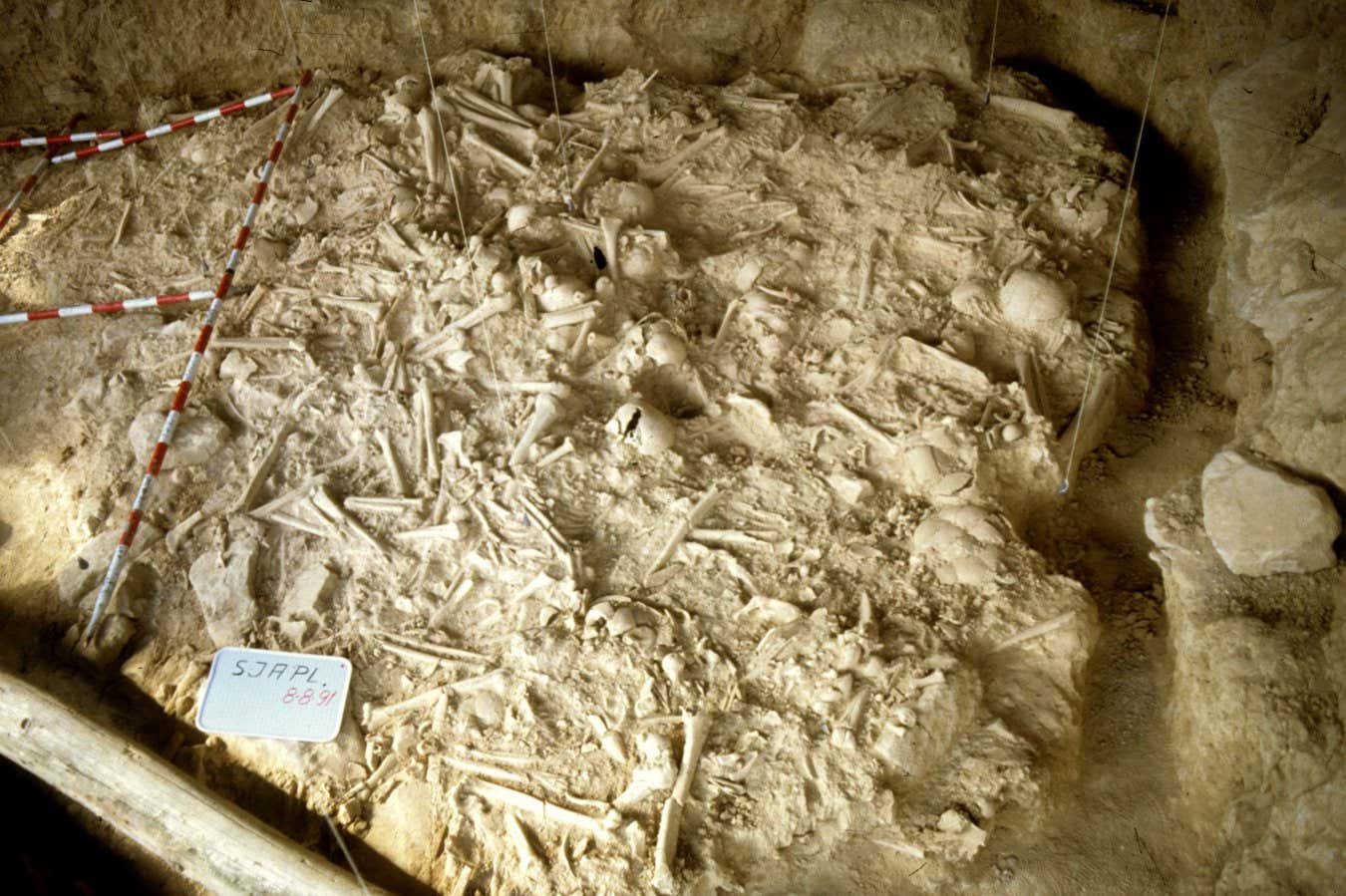 La primera guerra conocida en Europa fue un conflicto de la Edad de Piedra hace 5.000 años.