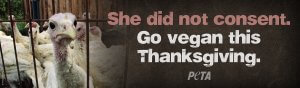 ‘Ella no dio su consentimiento’: el bombardeo publicitario vegano de Acción de Gracias de PETA acelera la ciudad