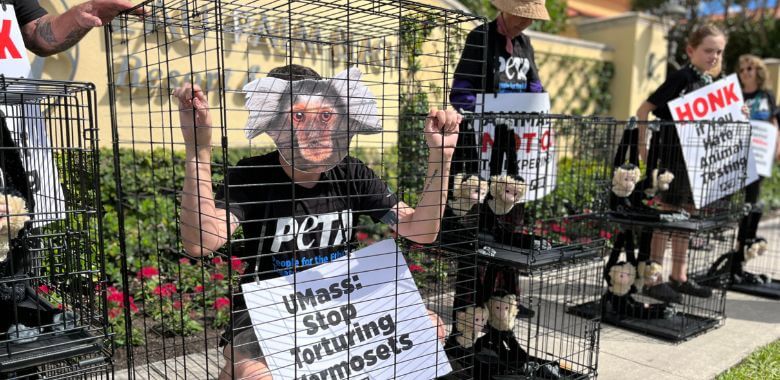 Estará completamente despierto después de conocer estos experimentos del sueño