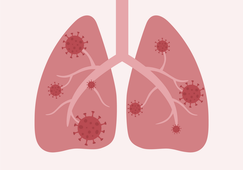 Las señales intestinales influyen en las respuestas pulmonares a las infecciones |  Resumen de TS