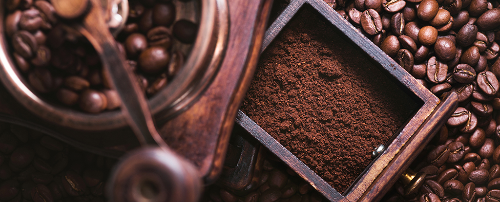 Una partícula escondida en viejos posos de café puede ayudar a proteger contra el Parkinson: ScienceAlert