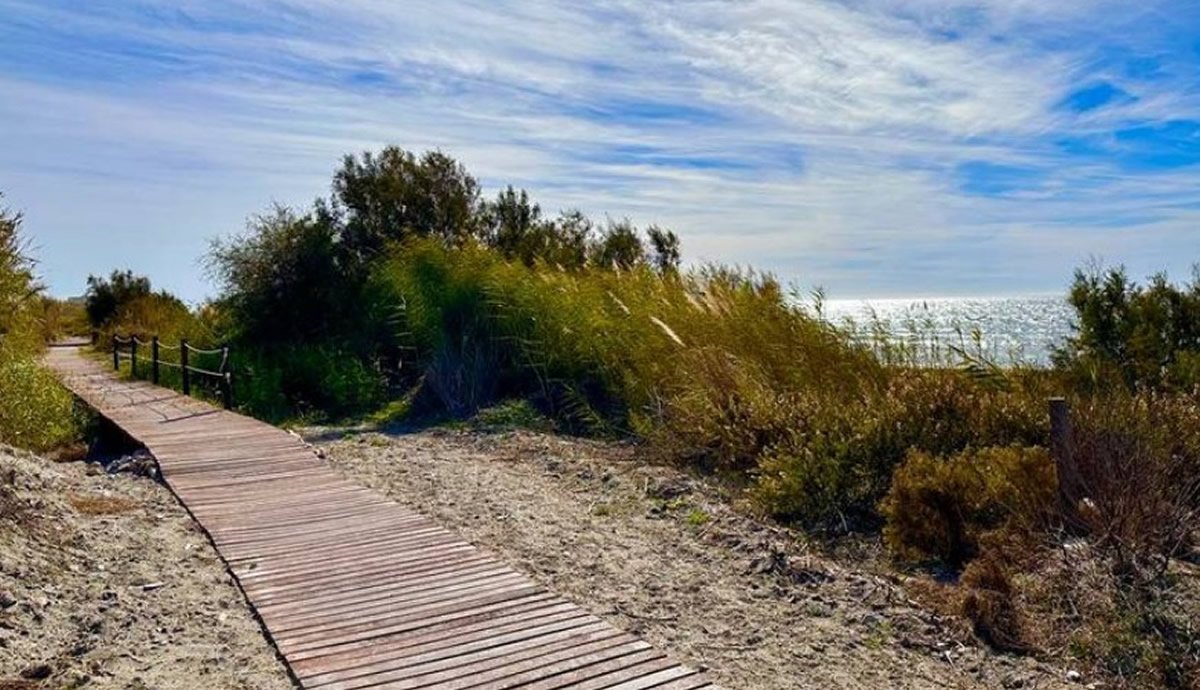 La playa de Las Azucenas de Motril convertida en reserva natural