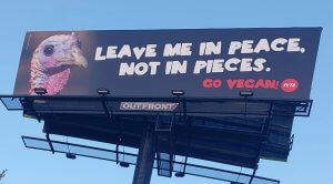 Leave Me In Peace Not Pieces Billboard St Louis 300x166.jpg