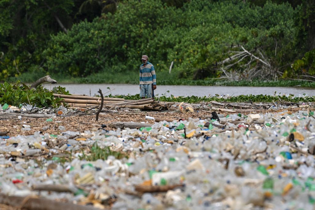 Los bichos cambian su comportamiento de apareamiento cuando se exponen a aditivos plásticos tóxicos