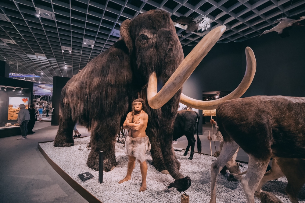 Estos 5 animales gigantes caminaron junto a los humanos antiguos