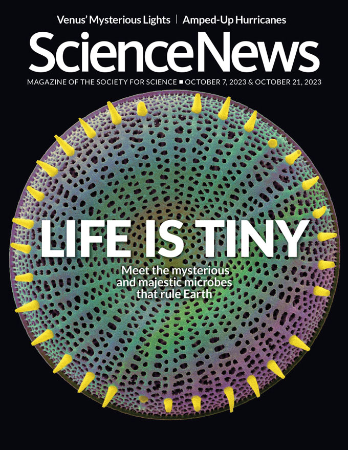 Los lectores reaccionan ante misteriosos protistas, cerebros de pájaros y más