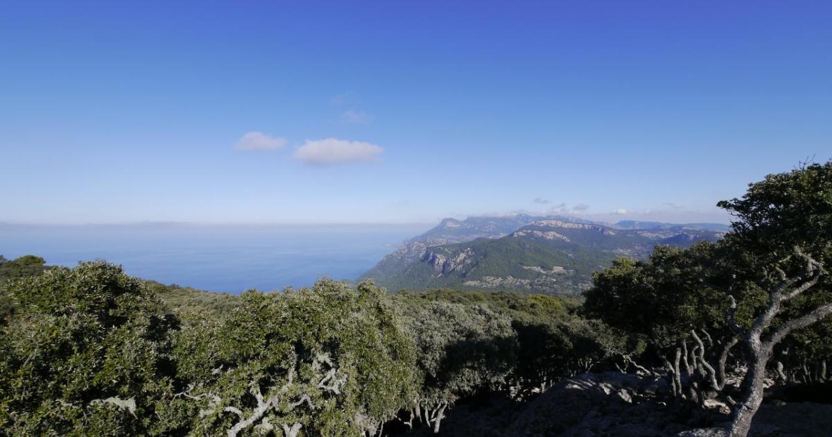 El tiempo en Mallorca para el viernes 22 de diciembre del 2023