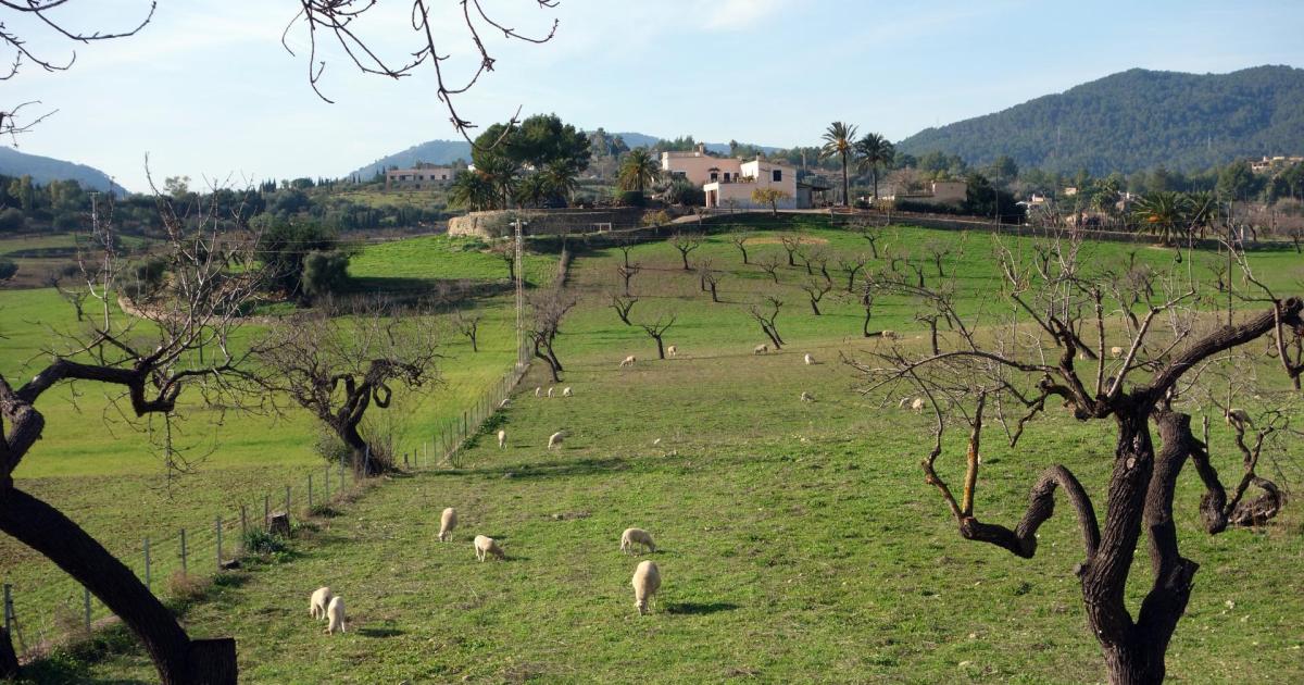 El tiempo en Mallorca para el miércoles 27 de diciembre del 2023