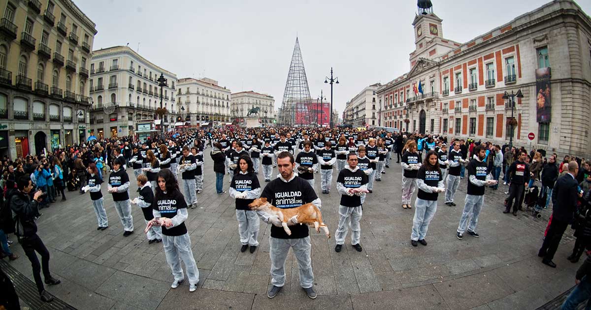 Igualdad Animal organiza protestas mundiales en el Día de los Derechos de los Animales