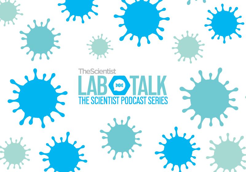 Secuestro de virus: optimización de la ingeniería celular basada en lentivirus
