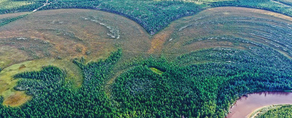 Los asentamientos más antiguos del mundo fueron construidos por una cultura que nadie esperaba: ScienceAlert