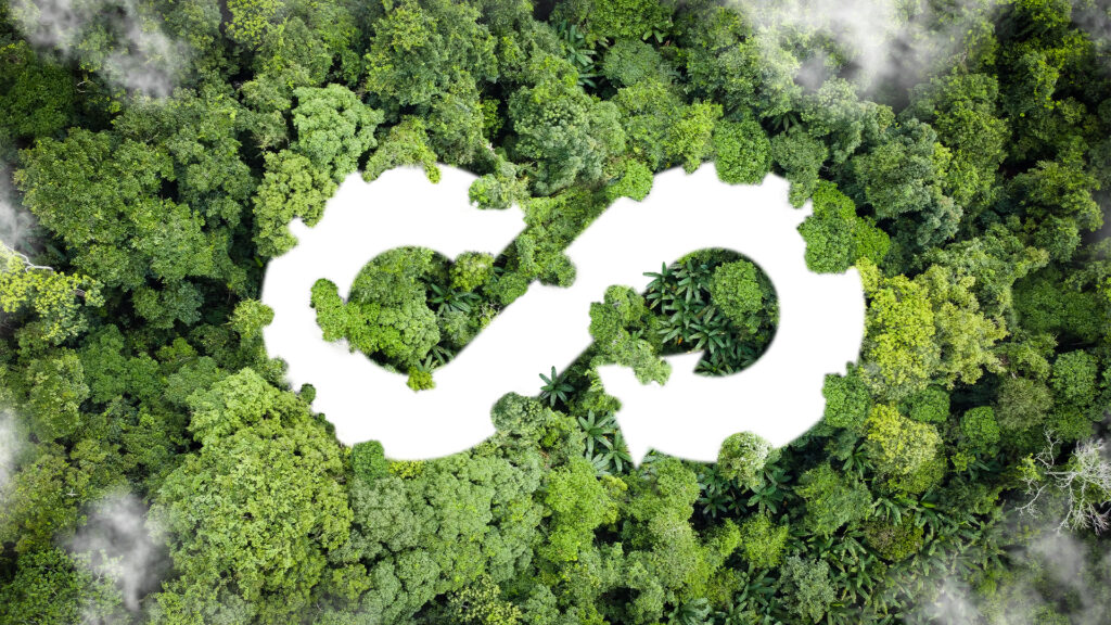 ¿Cómo puede la biotecnología acercarnos un paso más a una economía circular?