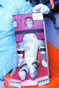 La agencia espacial iraní confirma que no se utilizaron animales en el lanzamiento de la cápsula;  PETA se compromete a mantener la vigilancia