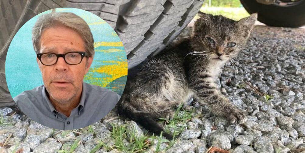 El ‘no matar’ está fallando a los animales y a las comunidades