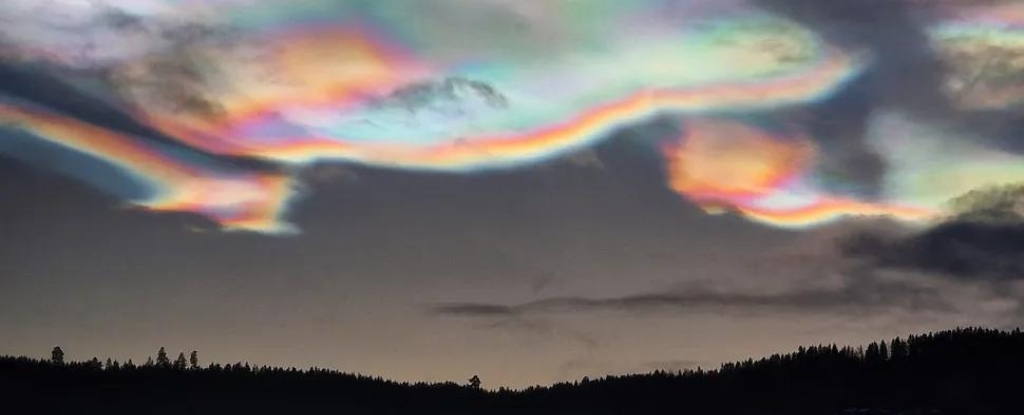 Las fotos son impresionantes: ScienceAlert