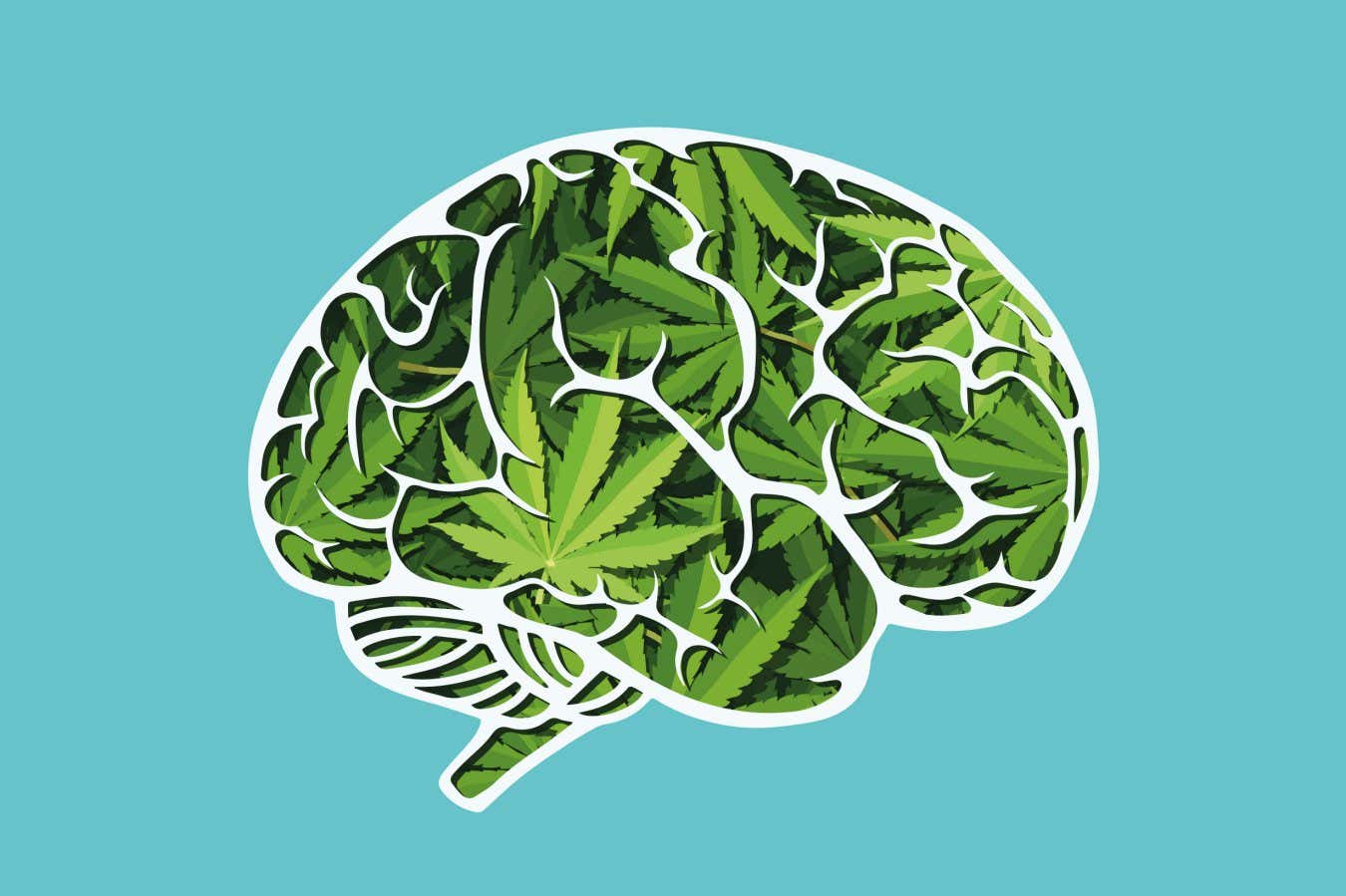 ¿Qué tan fuerte es el vínculo entre el cannabis y la esquizofrenia?