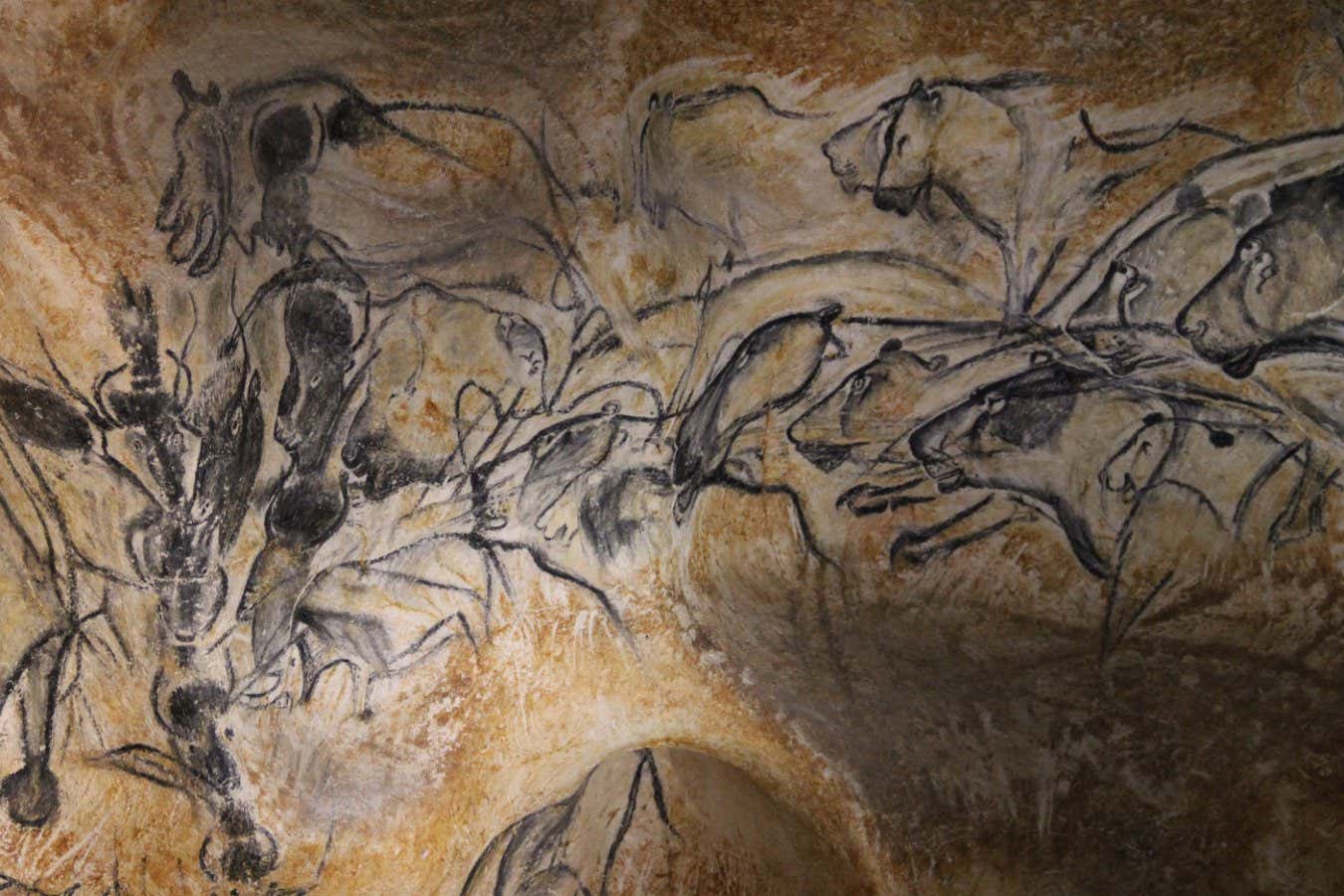 Los descubrimientos de 2023 que nos hicieron repensar la historia de la evolución humana