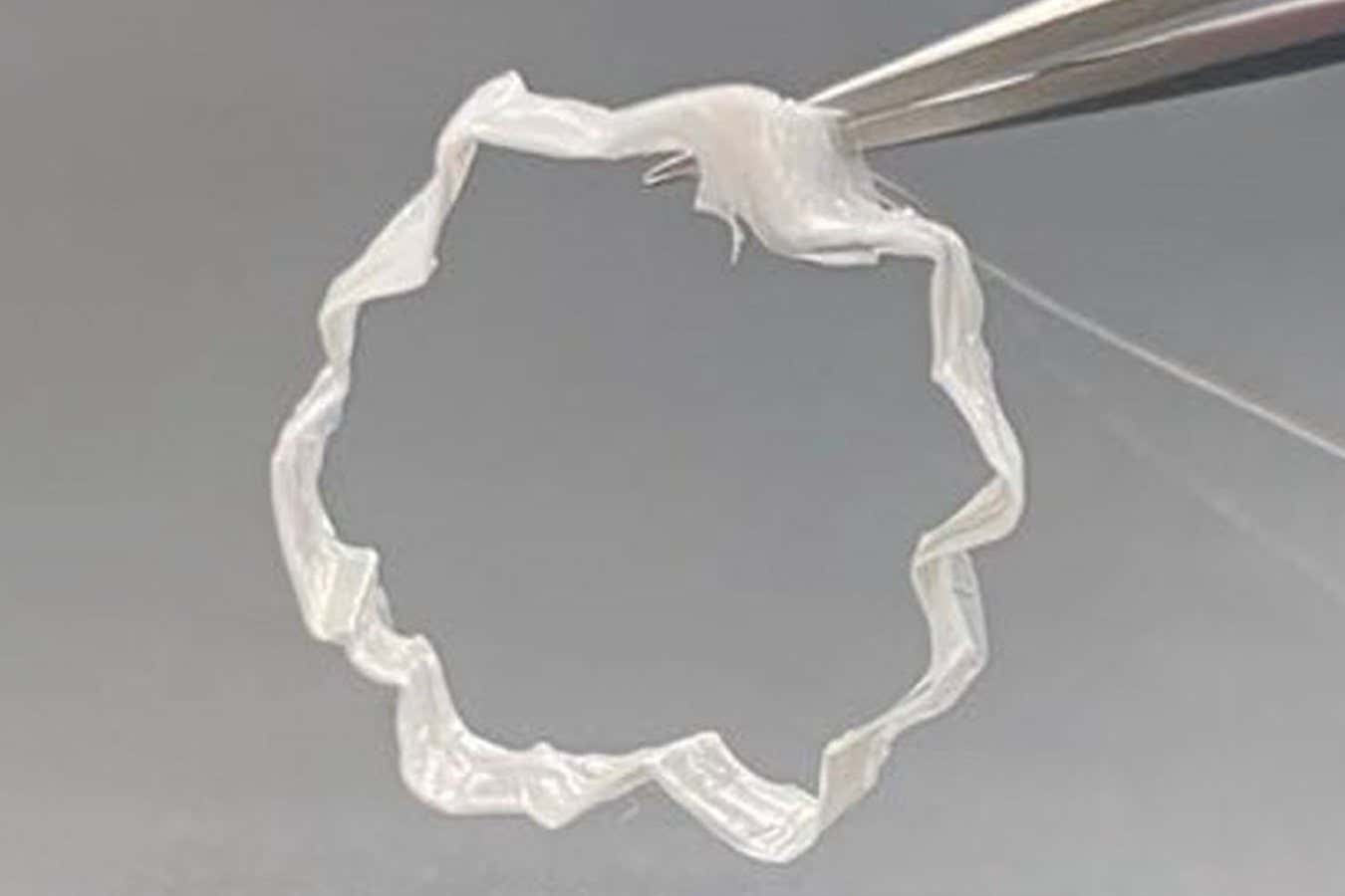 Los electrodos elásticos se encogen cuando se mojan para ajustarse cómodamente alrededor de los órganos.