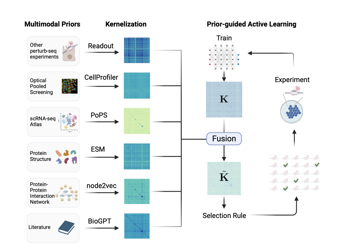 Investigadores de Genentech y la Universidad de Stanford desarrollan un procedimiento iterativo Perturb-seq que aprovecha el aprendizaje automático para un diseño eficiente de experimentos de perturbación