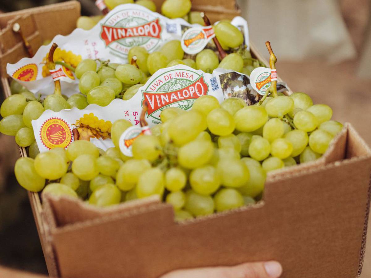 La mayoría de las uvas de medianoche ‘afortunadas’ de España proceden de una zona del país