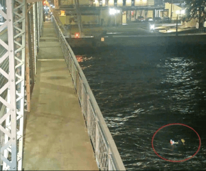 Los bomberos de Duluth obtienen el premio PETA por desafiar olas de 8 pies para salvar a un perro del gélido lago Superior