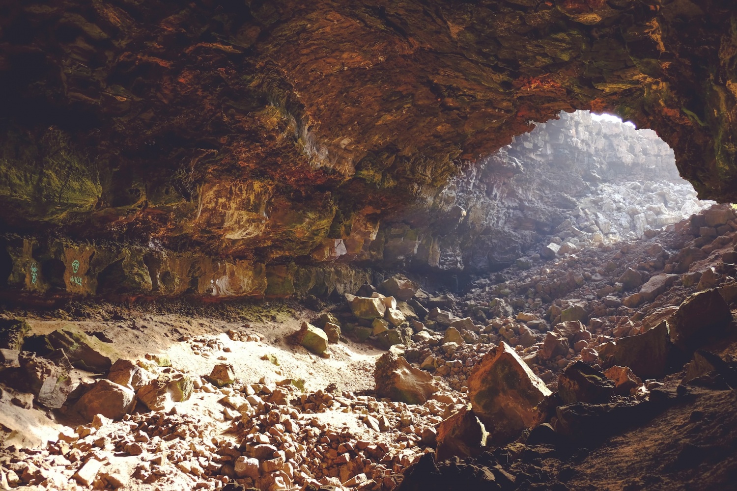 Nueva especie de araña con genitales extraños descubierta dentro de una cueva en el sureste de China [Study]
