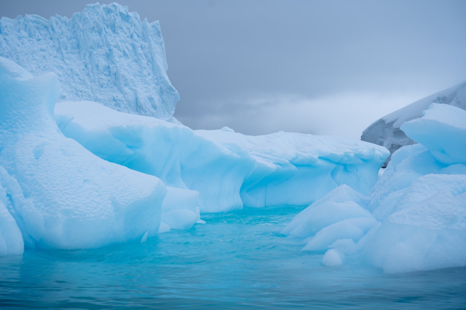 El hielo más antiguo de la Antártida es objeto de una expedición de búsqueda de científicos estadounidenses para comprender mejor el cambio climático