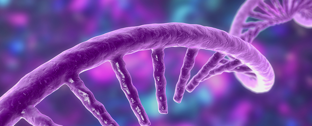 Los científicos revelan una nueva forma en que nuestro ADN puede generar nuevos genes desde cero: ScienceAlert