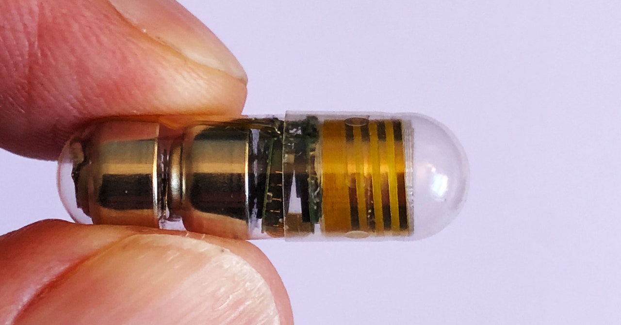 Esta píldora realiza un seguimiento de sus signos vitales desde el interior