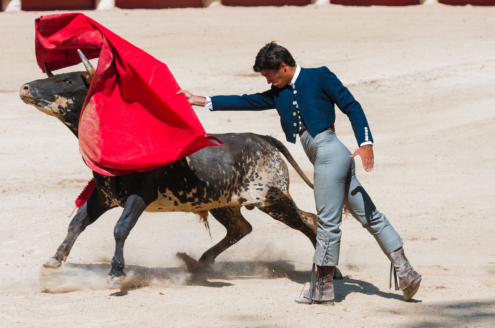 Los juzgados incorporan las corridas de toros al programa juvenil “Bono Cultural Joven” ⋆ Metropolitano de Madrid
