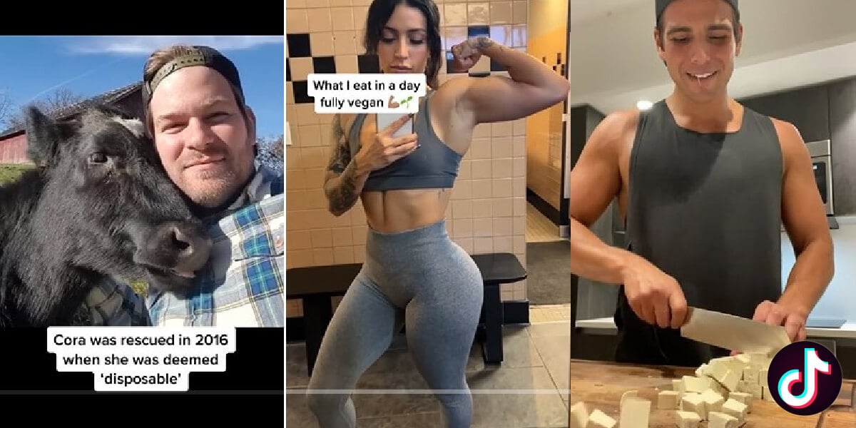 14 creadores veganos de TikTok que debes seguir