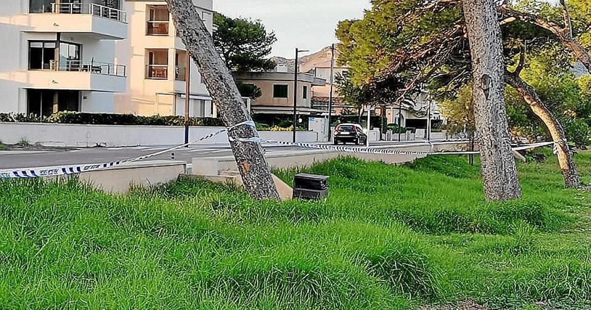 Piden acción contra el envenenamiento de perros