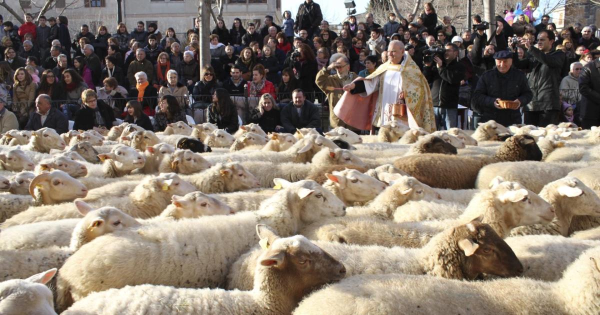 Sant Antoni, el santo accidental y no oficial de Mallorca