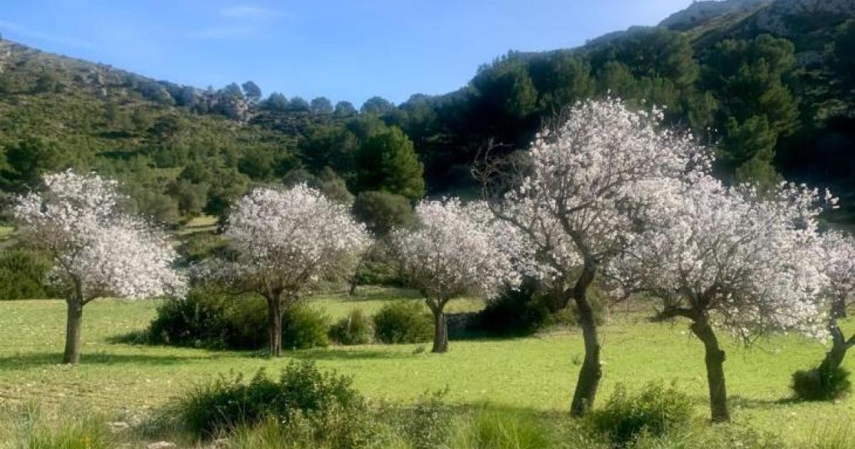 Altas temperaturas