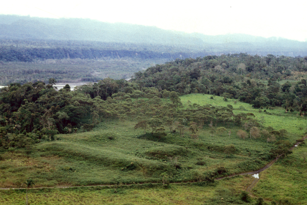 La antigua civilización amazónica desarrolló una forma única de ‘urbanismo de jardín’