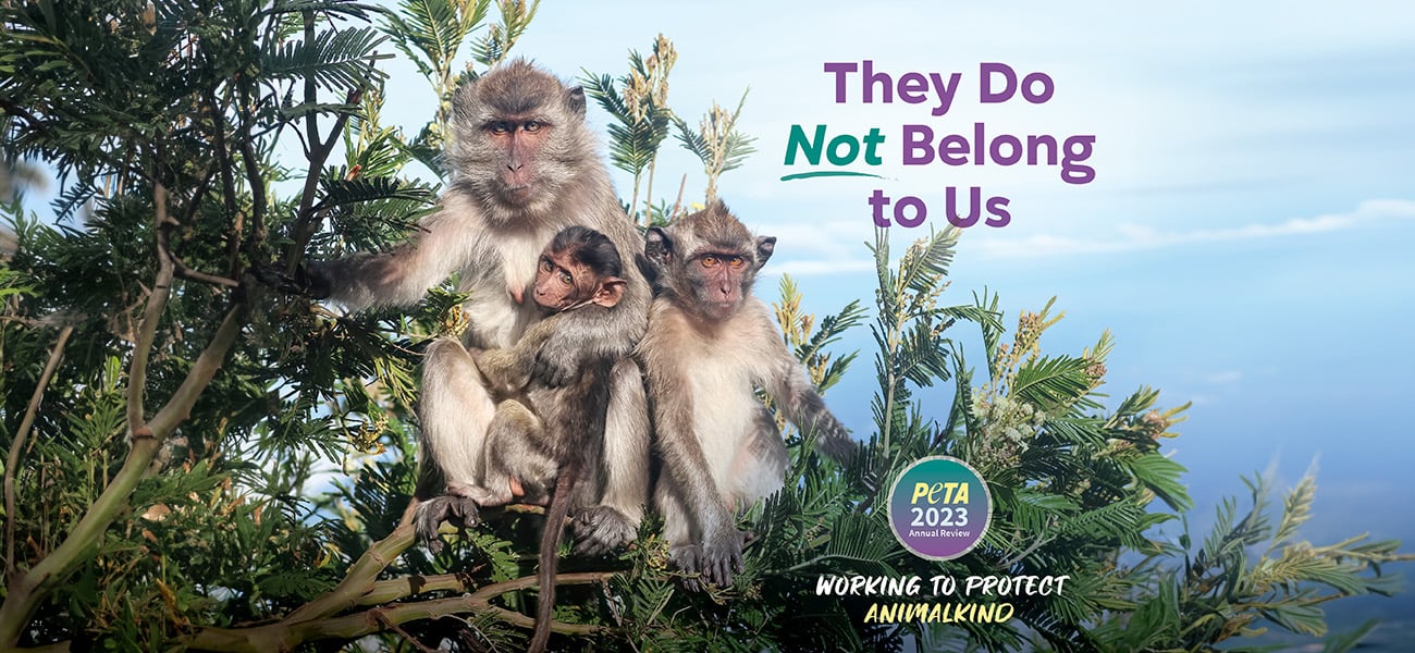 Un mensaje de Ingrid Newkirk