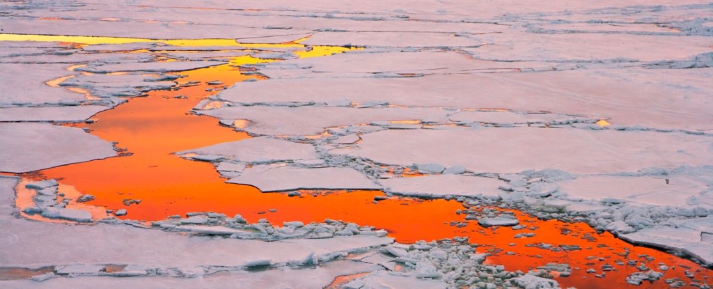 Lo que sabemos ahora sobre la ola de calor más intensa jamás registrada: ScienceAlert