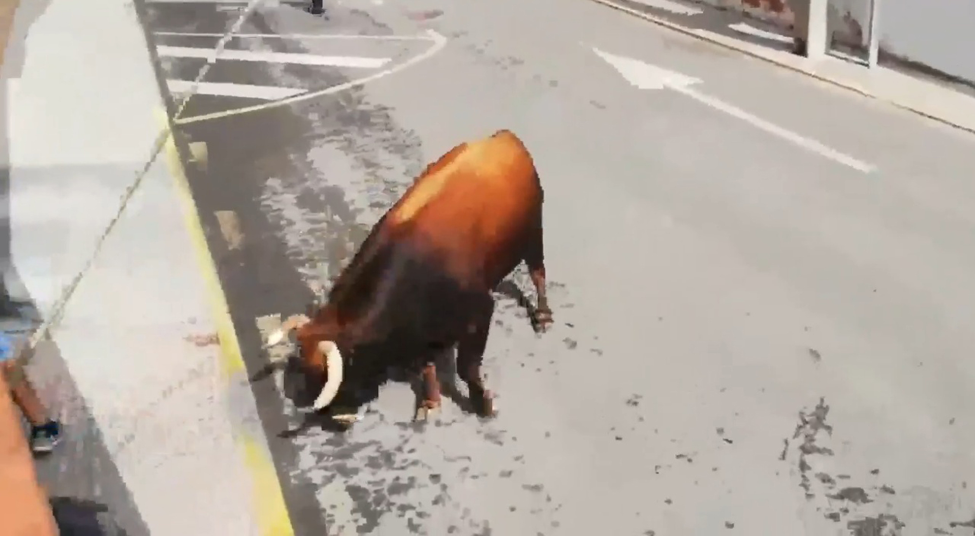 Dos hombres más brutalmente corneados por un toro en la Fiesta Municipal de Madrid ⋆ Madrid Metropolitan