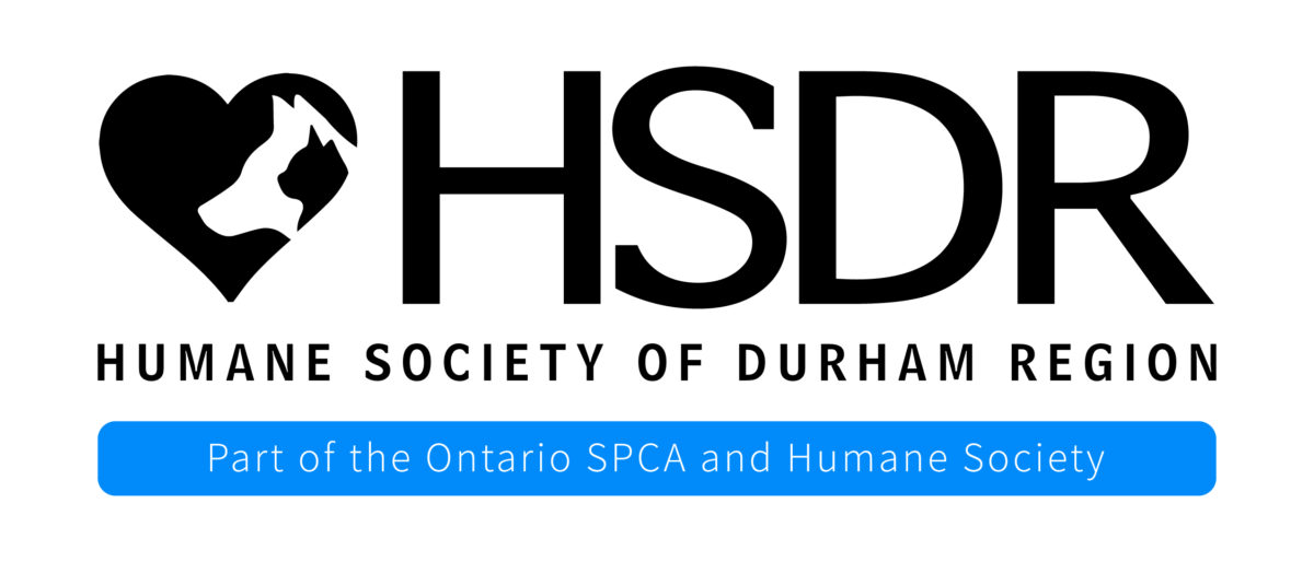 Dando la bienvenida a Humane Society of Durham Region a la familia SPCA de Ontario