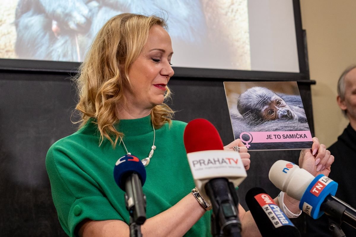 Es una niña, dijo el zoológico de Praga « Euro Weekly News